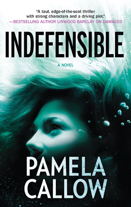 Title details for Indefensible by Pamela Callow - Available